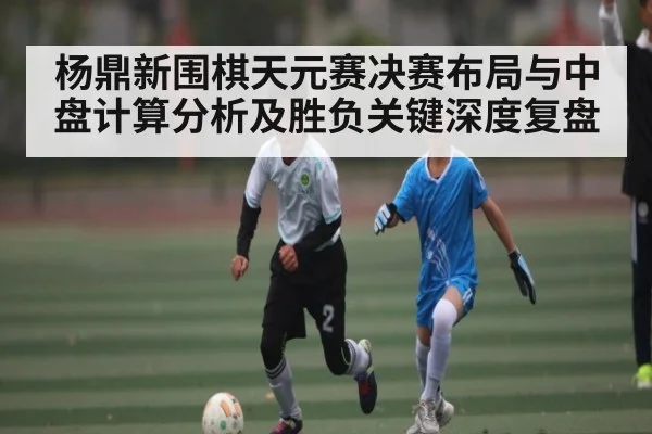 杨鼎新围棋天元赛决赛布局与中盘计算分析及胜负关键深度复盘 | kaiyun